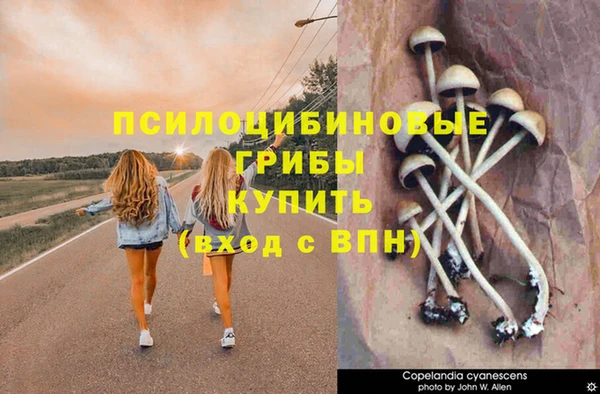 MDMA Лиски
