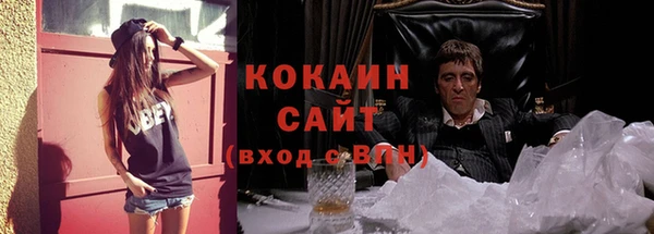 молекула духа Лихославль