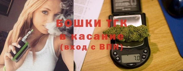 молекула духа Лихославль