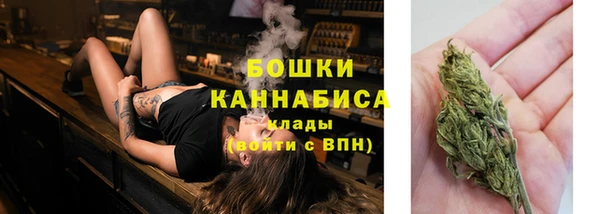 молекула духа Лихославль