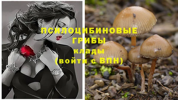 MDMA Майский