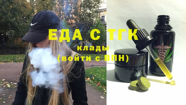 индика Анжеро-Судженск